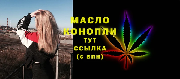 метадон Богданович